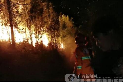 桂平山火最新爆料,火势蔓延，救援行动紧张进行中