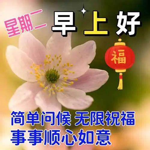 早安最新爆料新闻内容,揭秘最新爆料背后的惊人真相